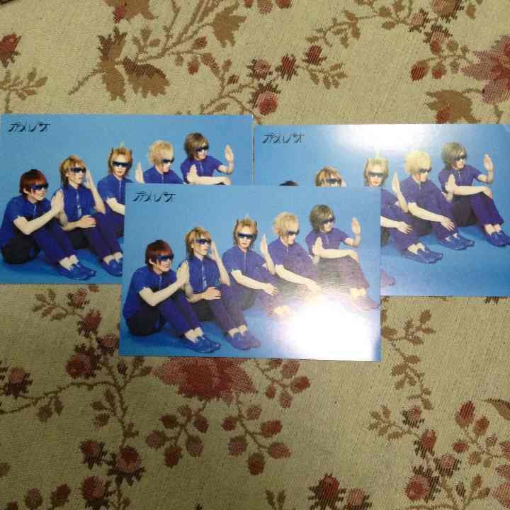 カメレオ フォト