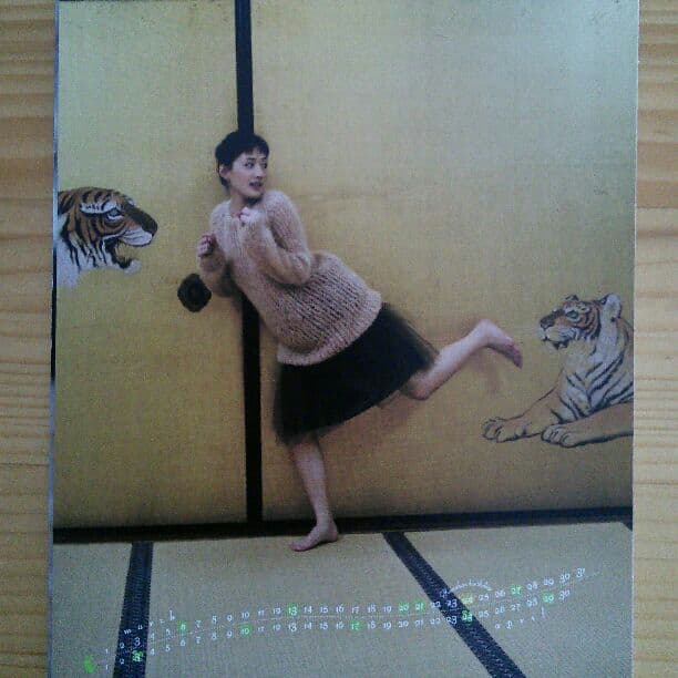 確認用 綾瀬はるか卓上カレンダー２０１１年版