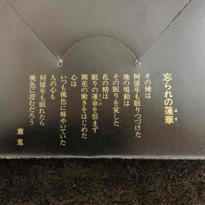 童鬼 シュールレアリスム誌画集 No.7