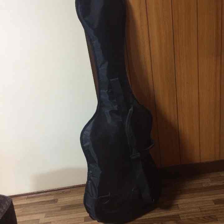 初心者用ギター