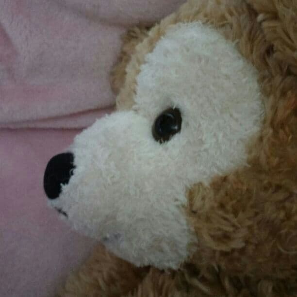 irh. 様　ご確認ページ