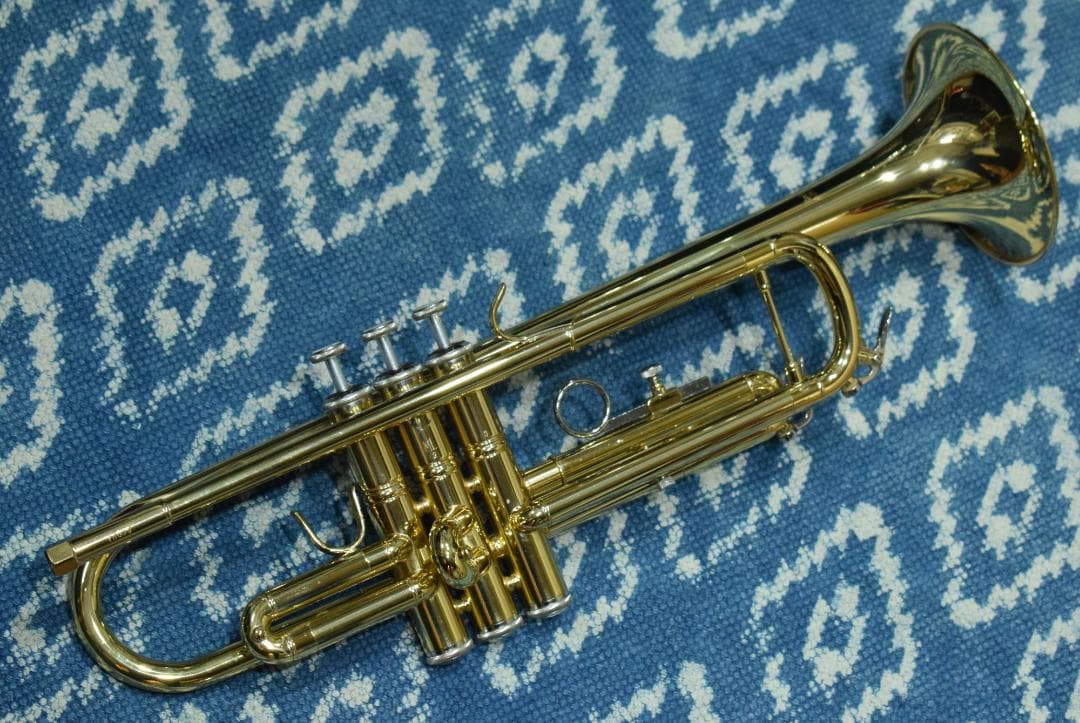 Bach TR Series TR-600 GL 状態良好 ハードケース付属