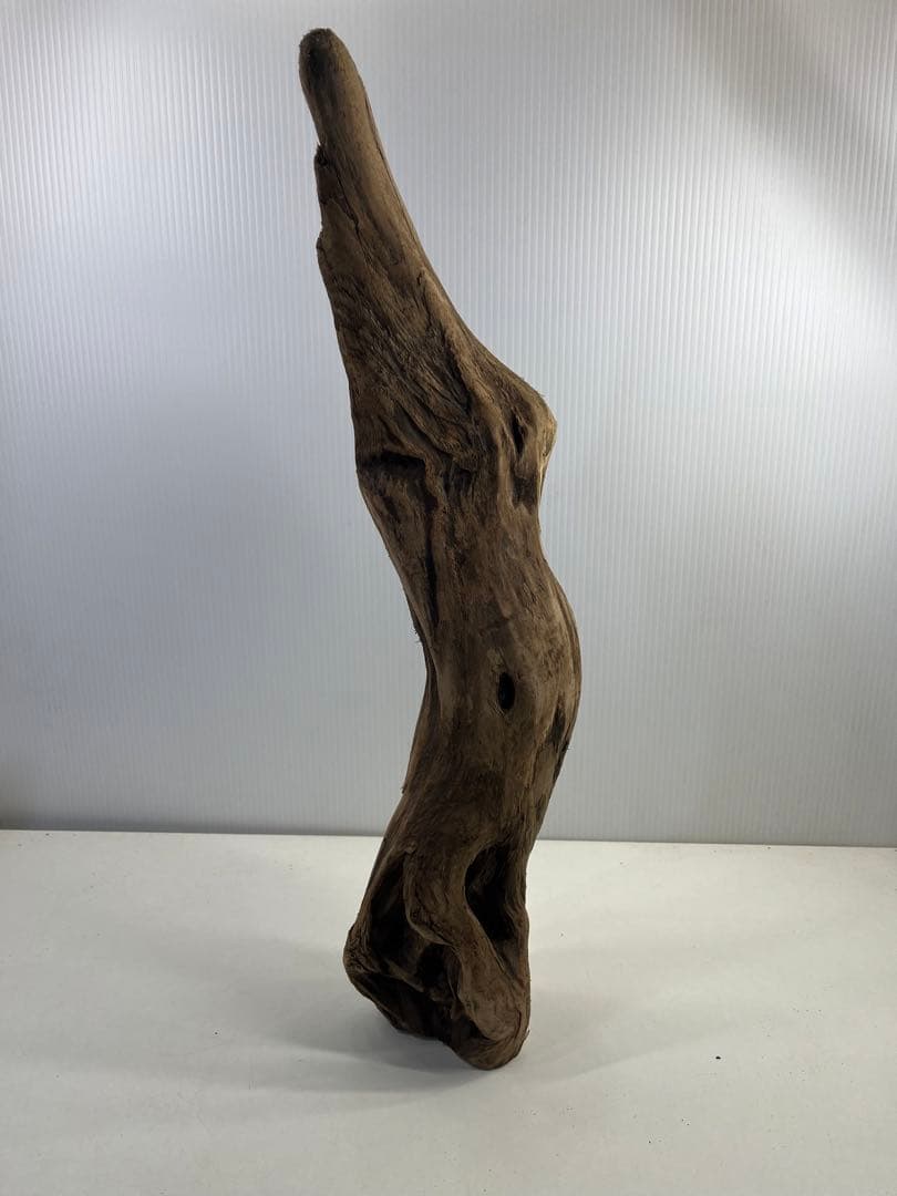 k50アク抜き済み流木 爬虫類シェルター レイアウト用 登り木 インテリア