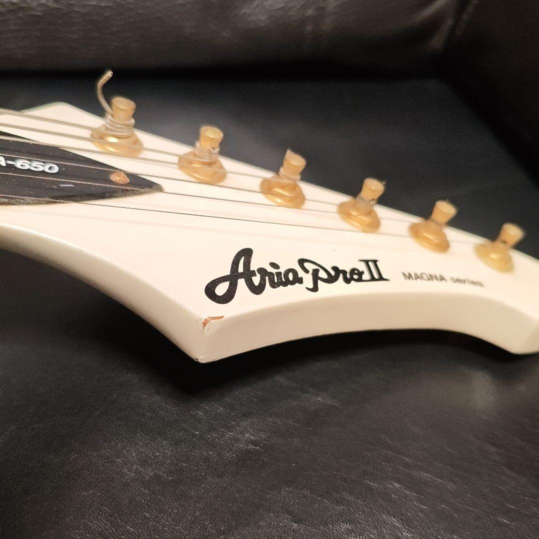 N*T様 AriaProII MAGNA series MA-650