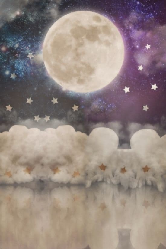 背景布　【　ハロウィン I　】　サンプル　お月見さん、十五夜、9月