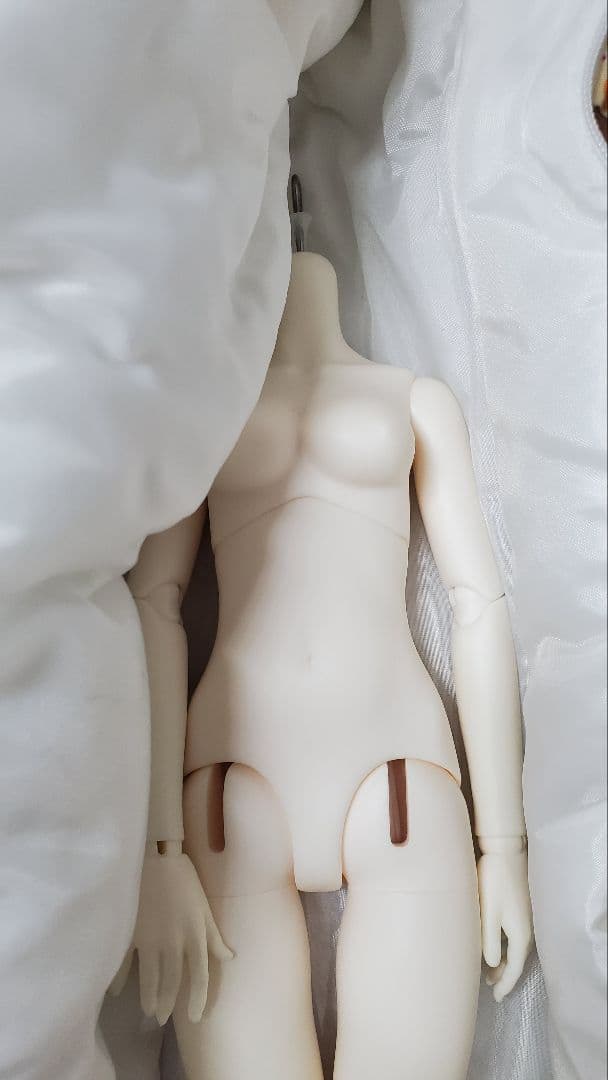 ｄｏｌｋ ４０／４５ｂｏｄｙ