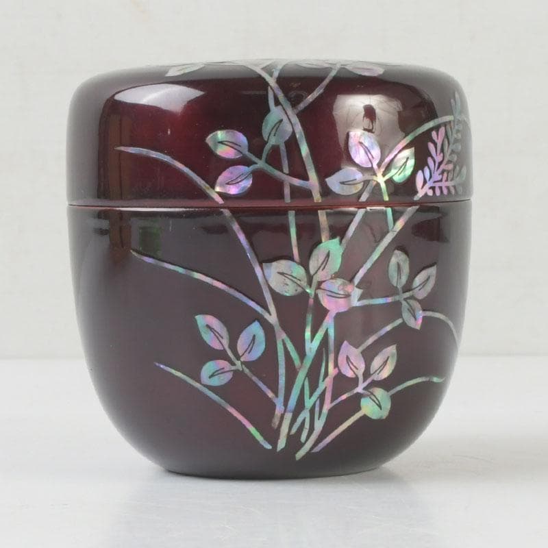 茶道具　螺鈿装飾　草蒔絵　棗　時代箱　V　9673