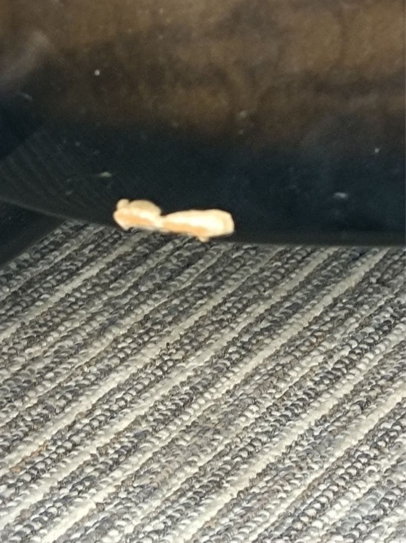 [八6474] Ibanes アイバニーズ エレキギター