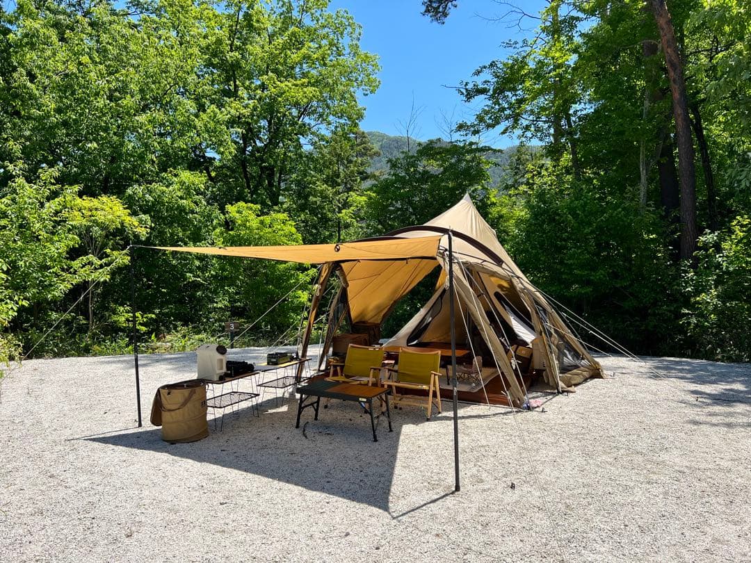 ZANE ARTS LOLO ゼインアーツ ロロ　※補修あり※