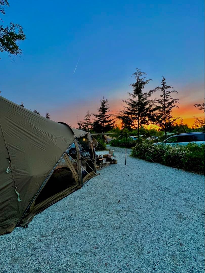 ZANE ARTS LOLO ゼインアーツ ロロ　※補修あり※