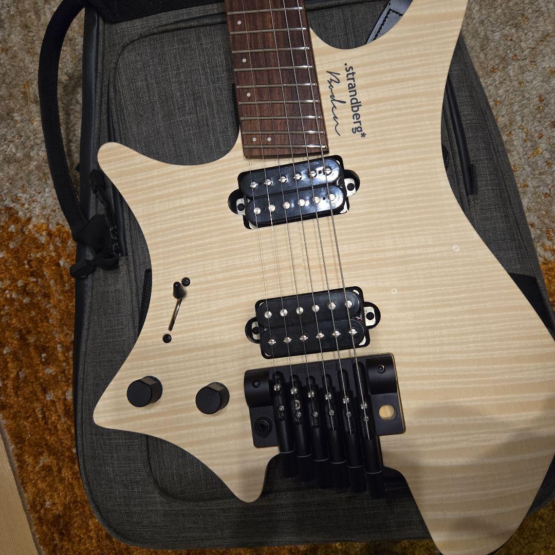 ギター strandbergBodenStandard NX6