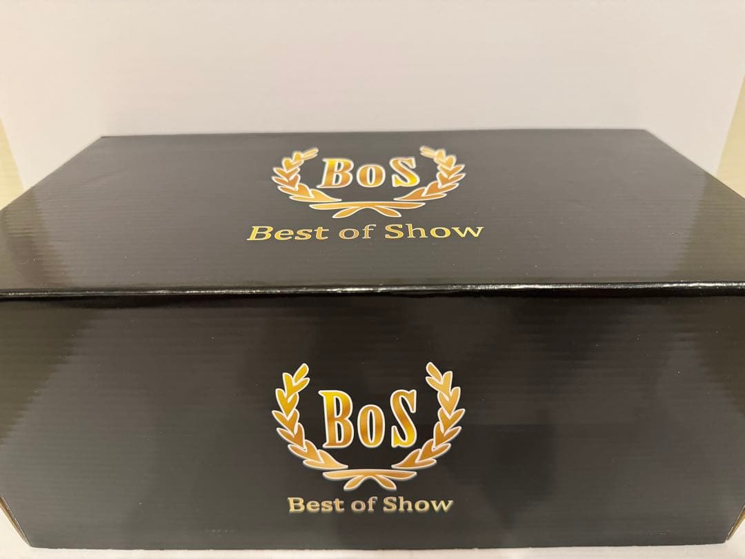 レア  1600GTレジン製 BoS Best of Show 1/43