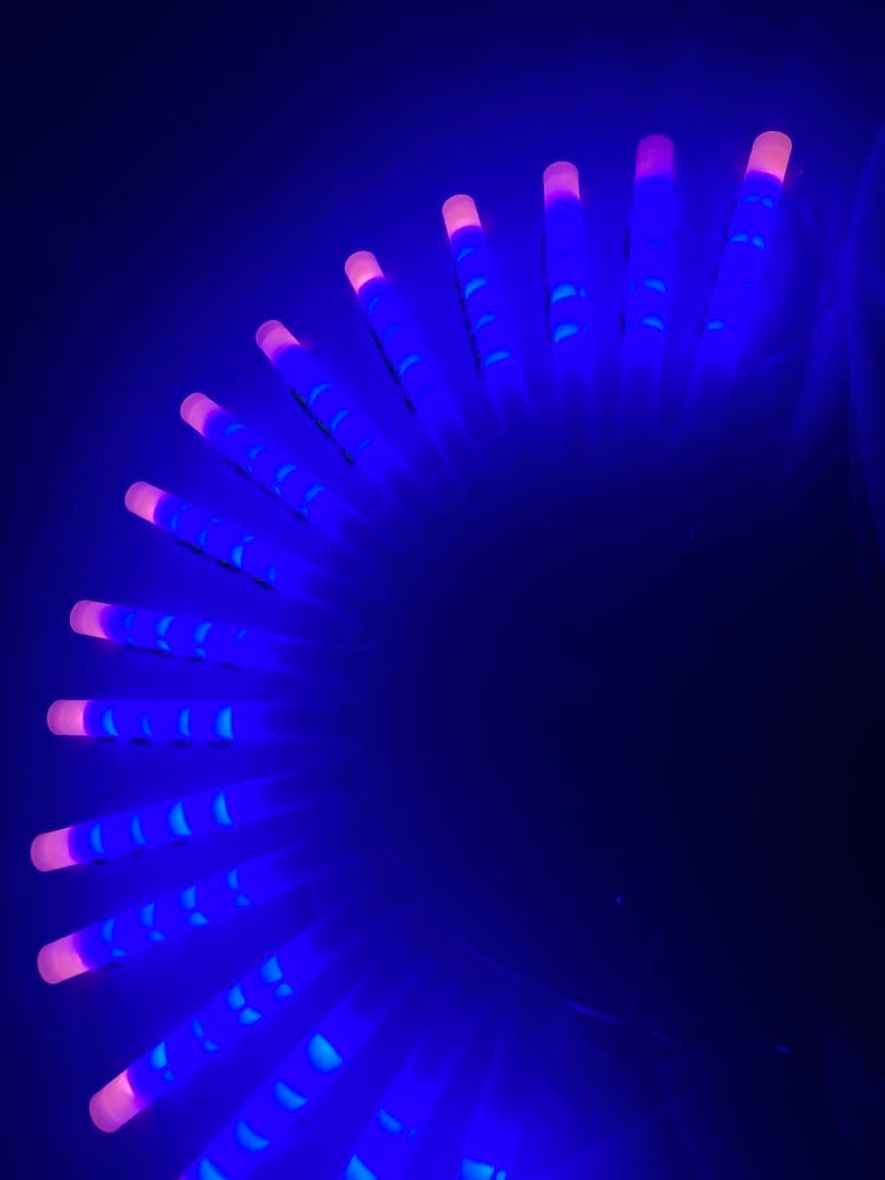 孔雀 サイリウム ノーマル16連