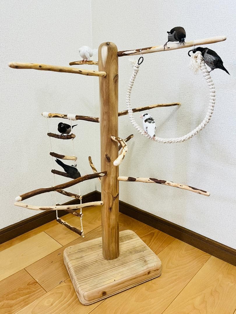 【小鳥用】ブランコ＆ハシゴ付　♬螺旋状 バードアスレチック