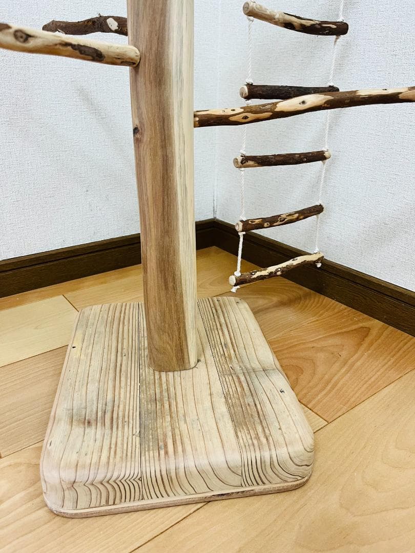 【小鳥用】ブランコ＆ハシゴ付　♬螺旋状 バードアスレチック