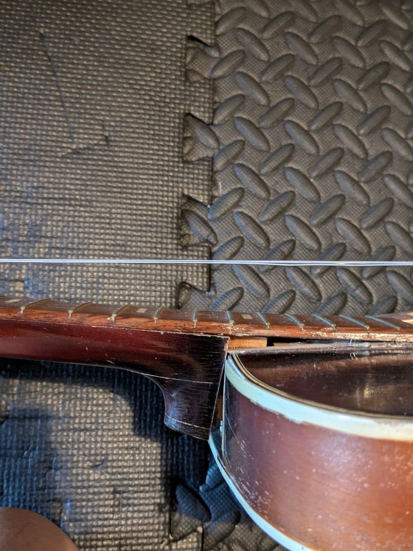 TEISCO テスコ MODEL 59 1PU セミアコ フルアコ ビザール