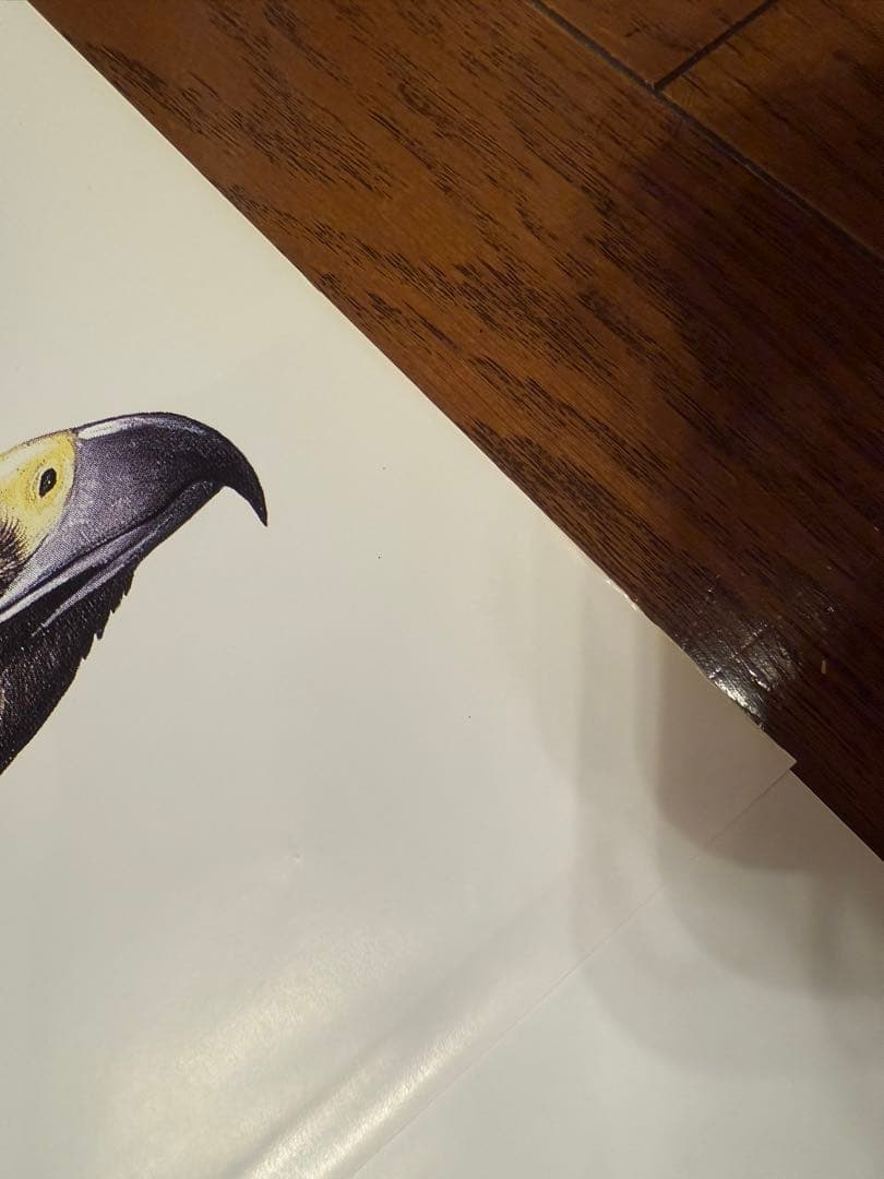 サントリー ポスター3枚セット アホウドリ イヌワシ 日本の県鳥 骨董品