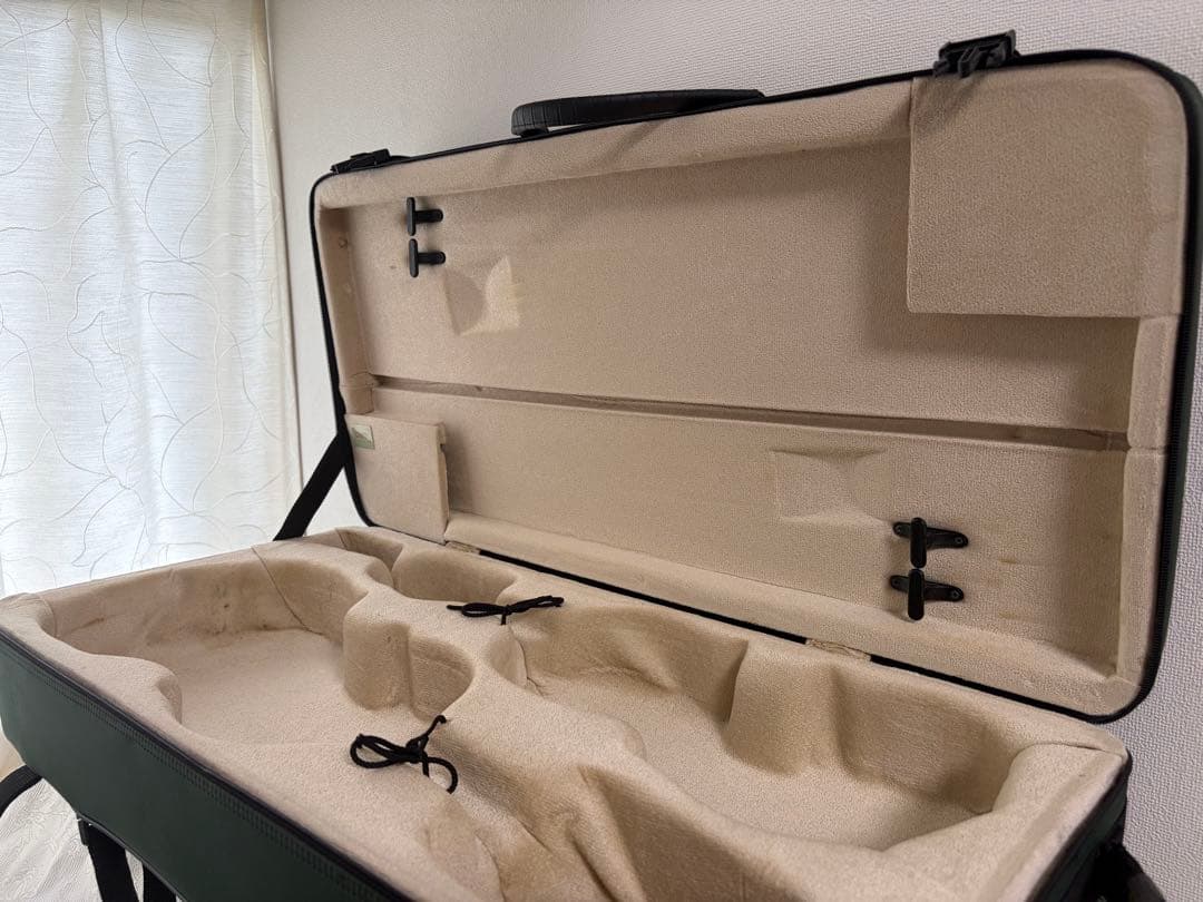 BAM ダブルケース　バイオリン　ビオラ　グリーン