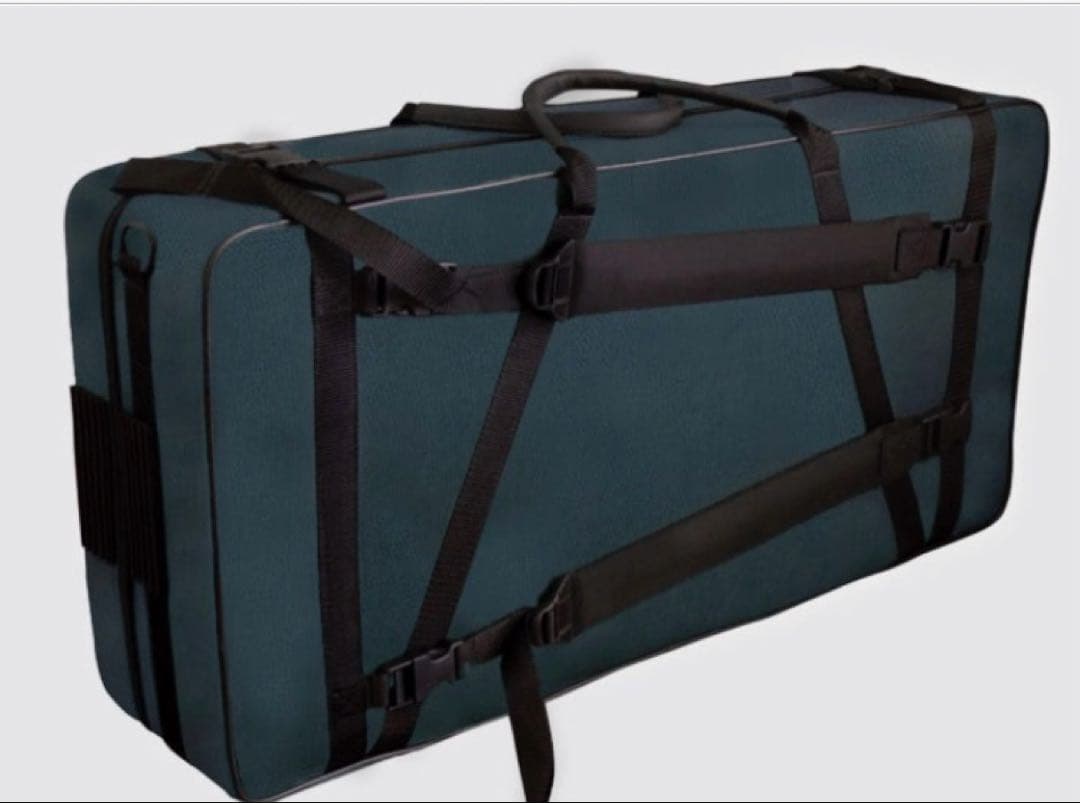 BAM ダブルケース　バイオリン　ビオラ　グリーン