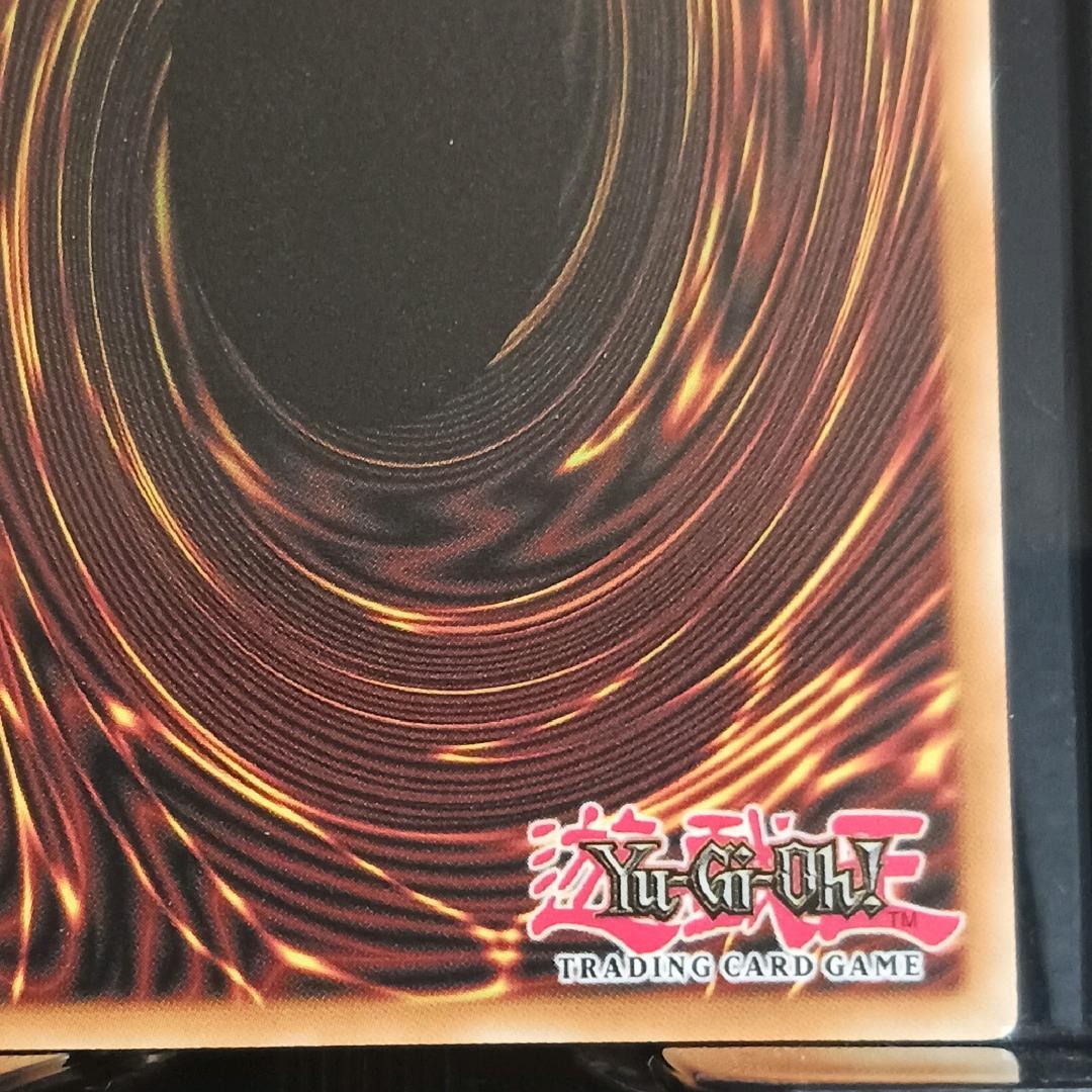 【EU版】遊戯王 白き森の魔性ルシエラ 英語 25th クオシク