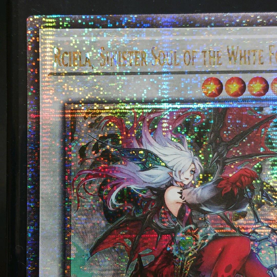 【EU版】遊戯王 白き森の魔性ルシエラ 英語 25th クオシク