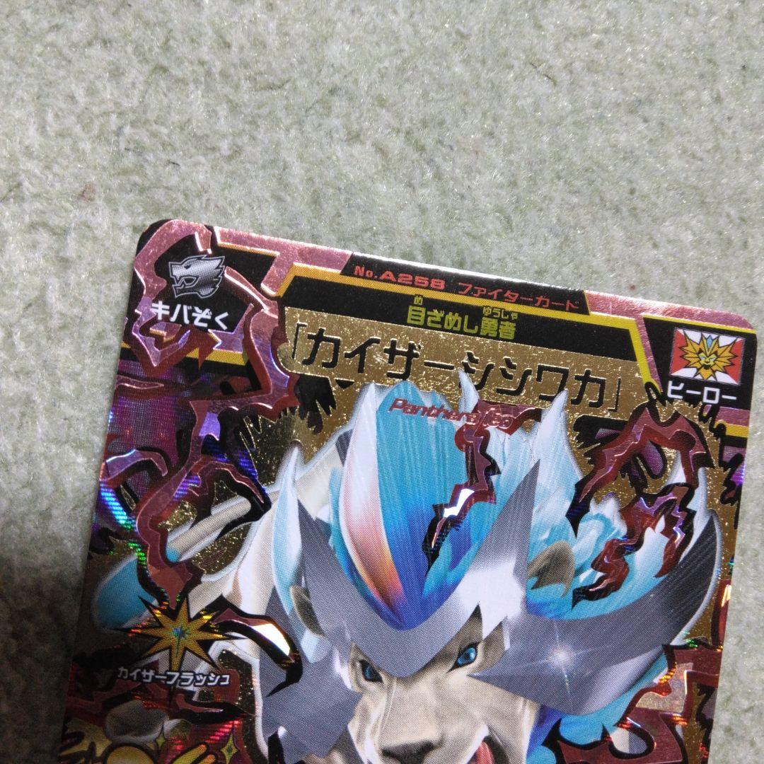 アニマルカイザー　カイザーシシワカ