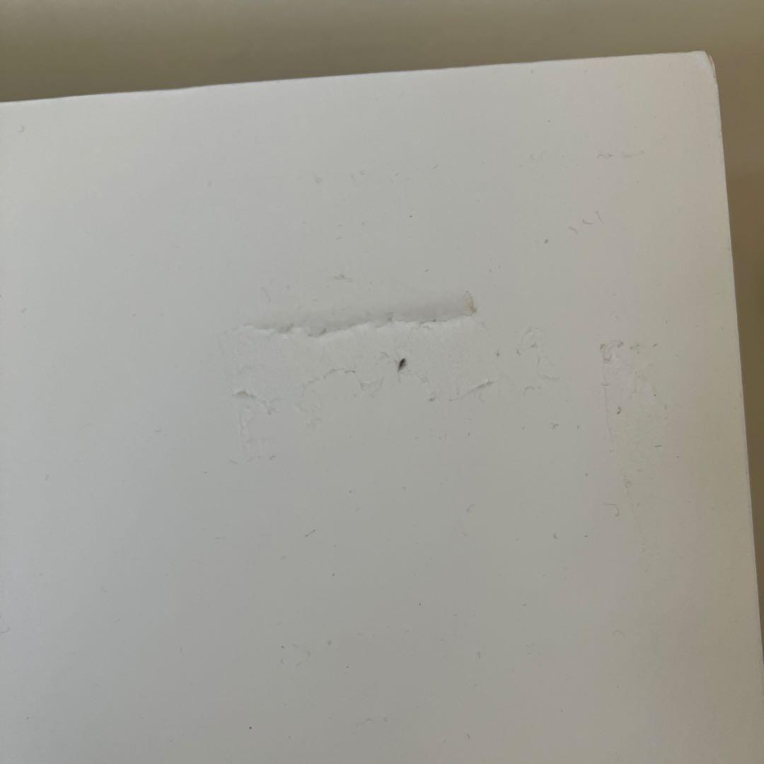 NEMOPHILA タワレコパネル 直筆サイン入り