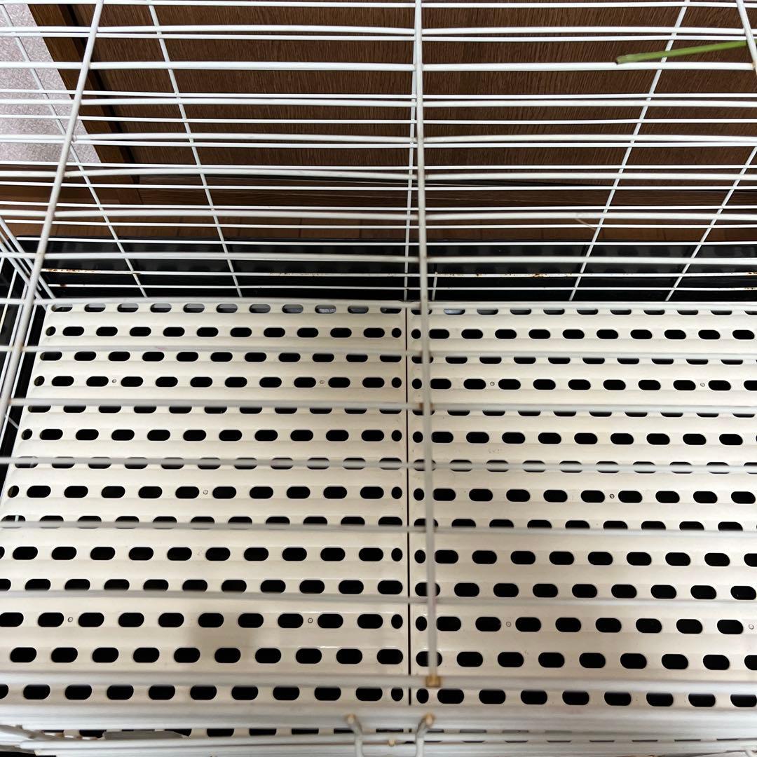 カバー付　イージーホーム80 ケージ　ウサギ　モルモット