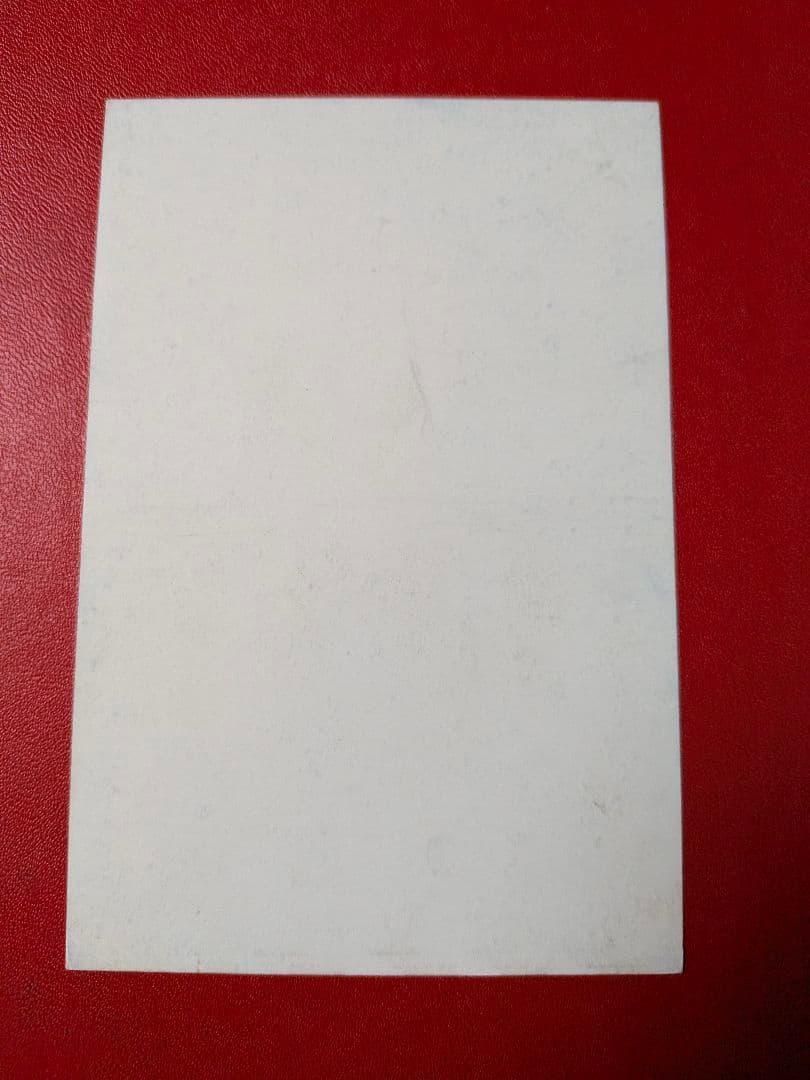 デル・ピエロ 直筆サイン クラブ発行 ユベントス 公式