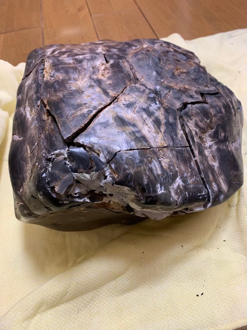 珪化石 木の化石 木化石 鑑賞置物 現状品 ジャンク品