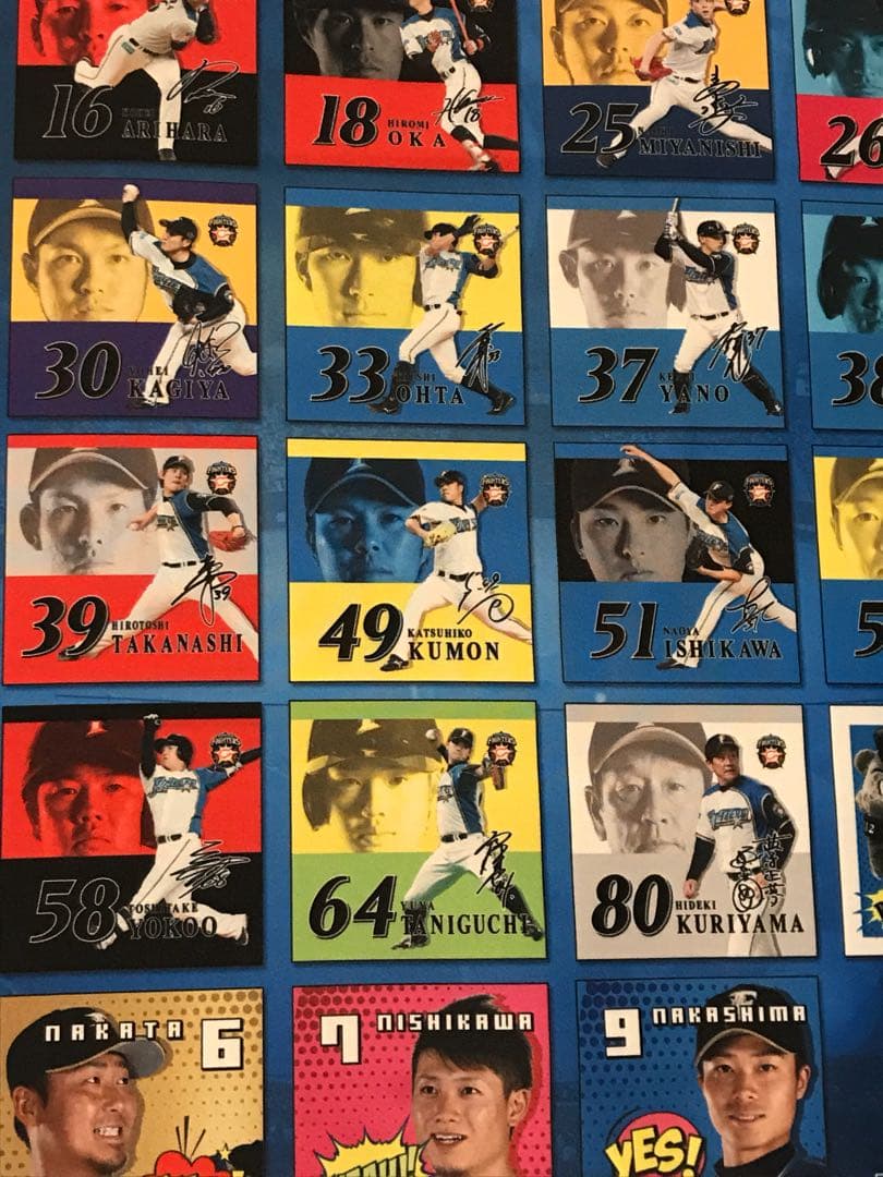 ビッグタペストリー