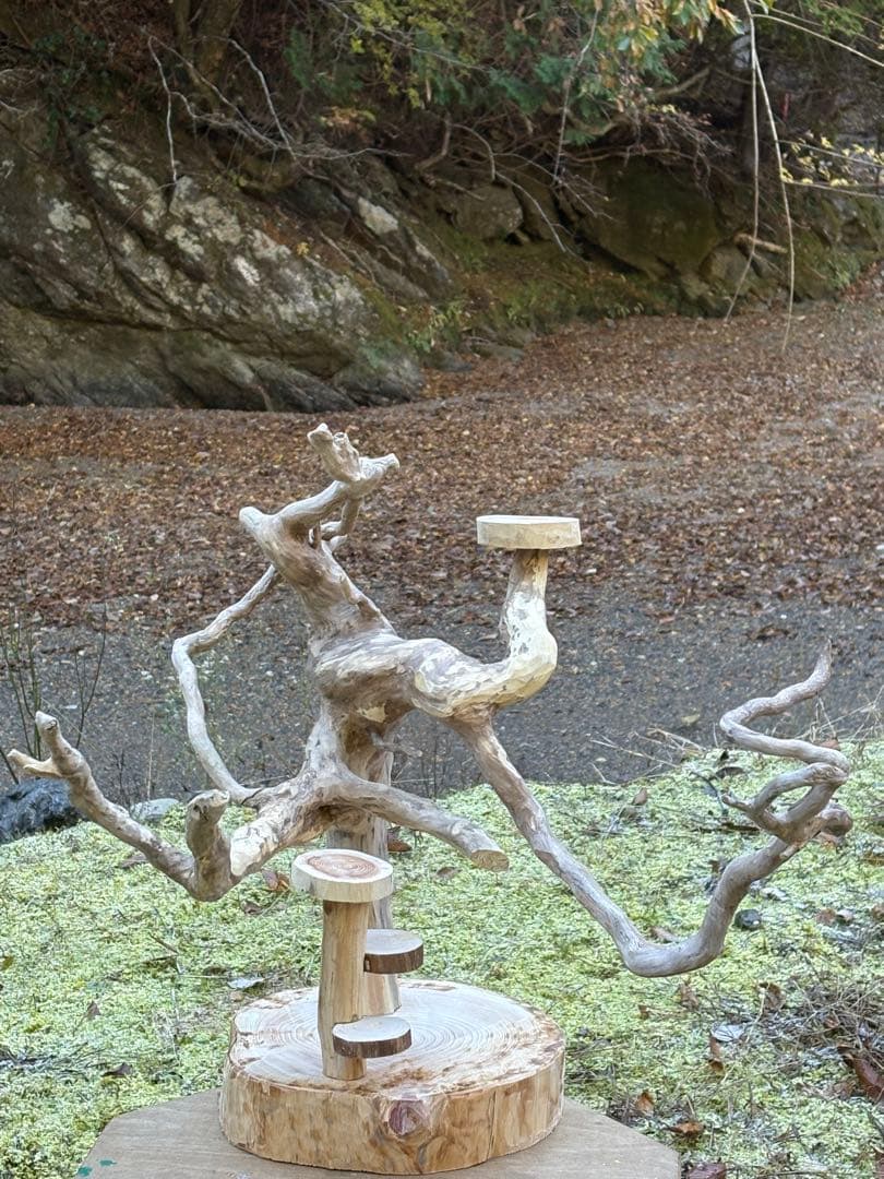 止まり木 kan_oqsm