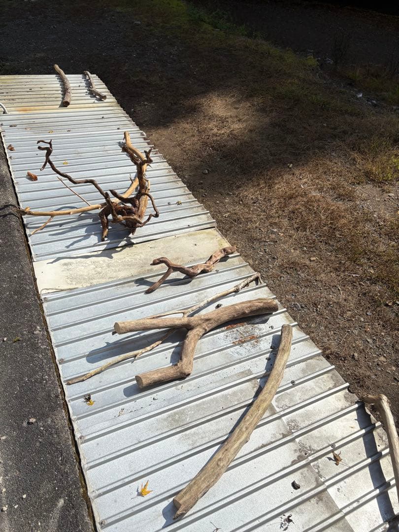 止まり木 kan_oqsm