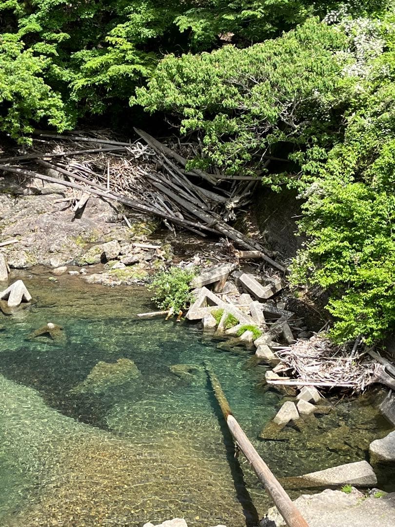 止まり木 kan_oqsm