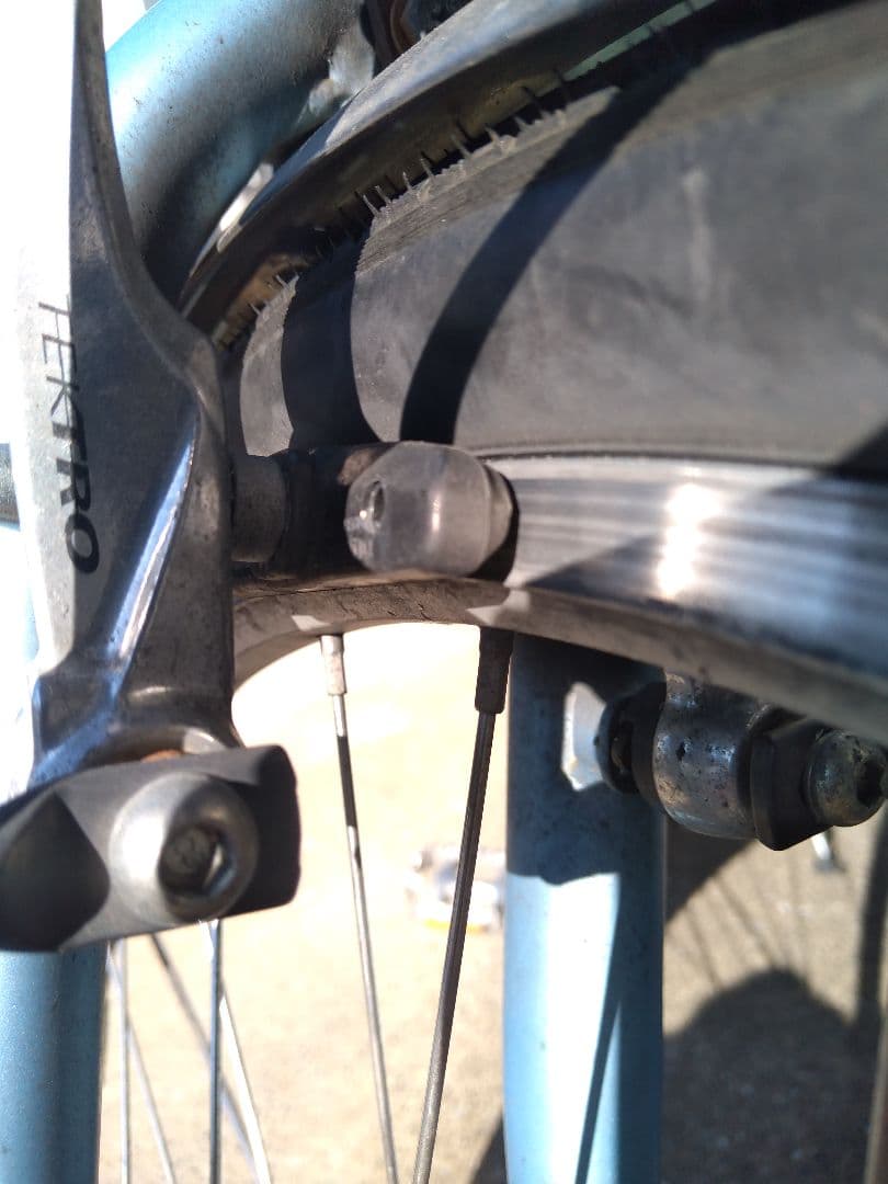 LOUIS GARNEAU ルイガノ　引取希望