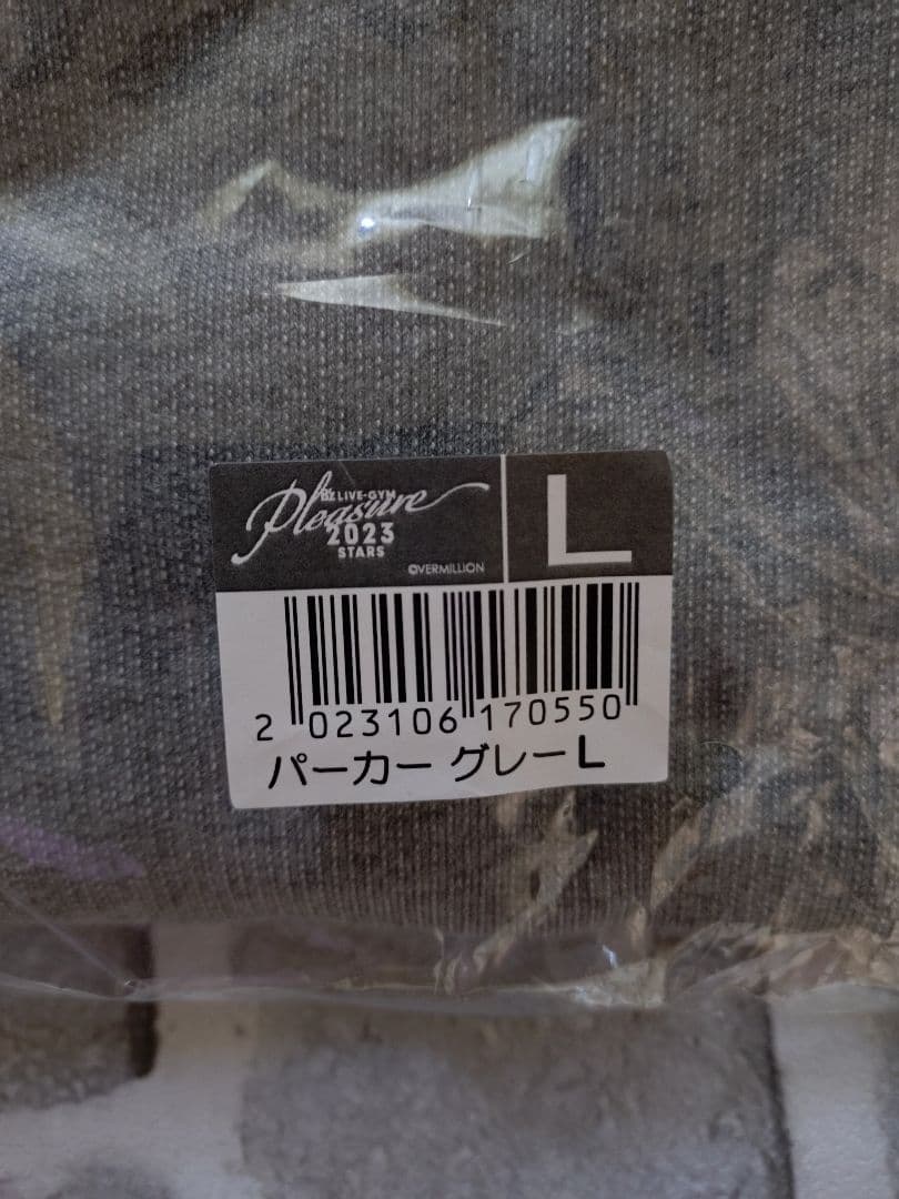 【新品】【Lサイズ】【B'z】【STARS】【Pleasure2023】パーカー