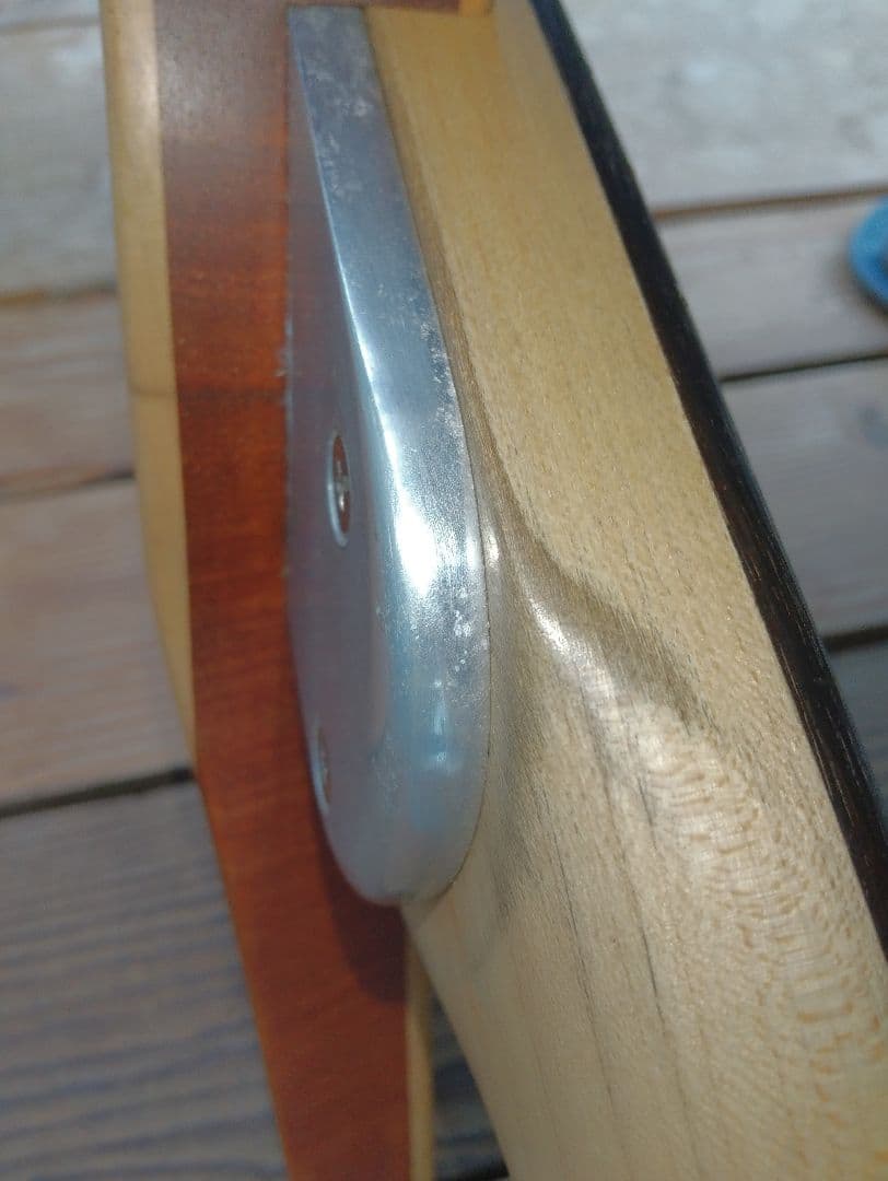 ベース tig tuned bass Selva SEB2020sp