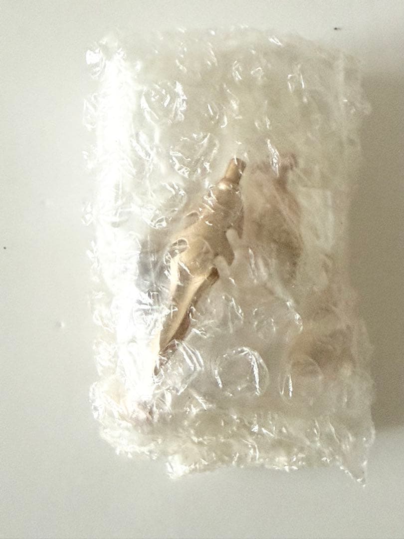 【全5種】FORM Bits Rabbit Bits 【BOX版】