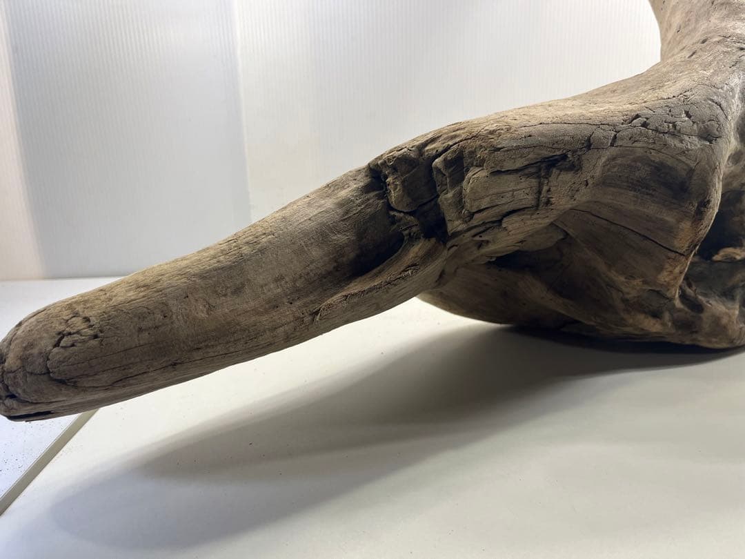 W29特大流木 アク抜き済み流木 爬虫類シェルター 登り木 インテリア 生け花