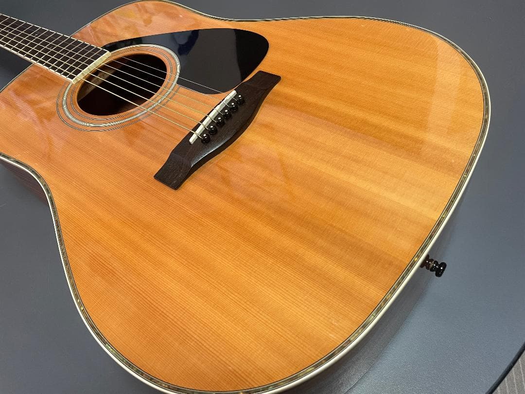 ギター YAMAHA DW-5S