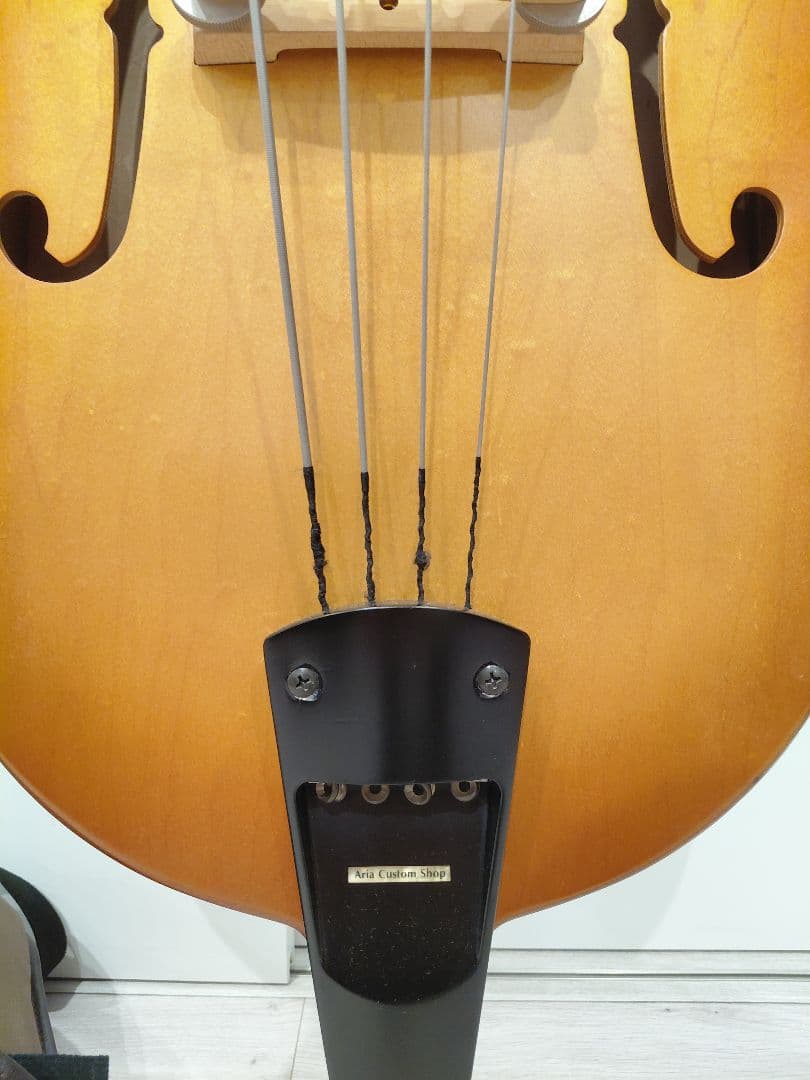 Ariaアリアカスタムショップ SWB-beta アップライトベース