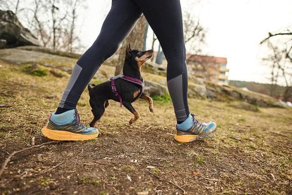 Non-stop dogwear ノンストップドッグウェア ラインハーネス