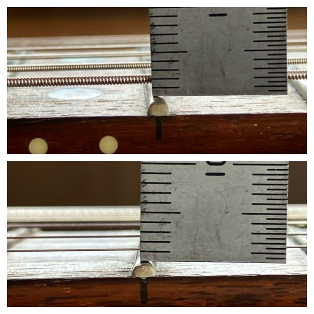 SCHECTER SD-2-24 アッシュバック 中古