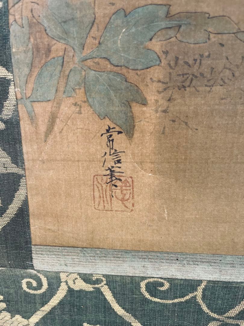 掛け軸　狩野常信 猫圖