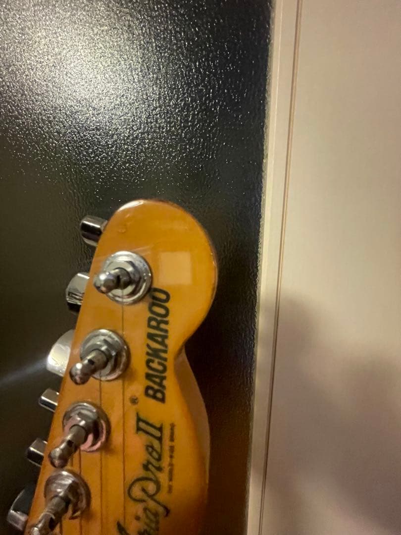 ビンテージCUNIFE搭載 Ariapro2 thinlineタイプ