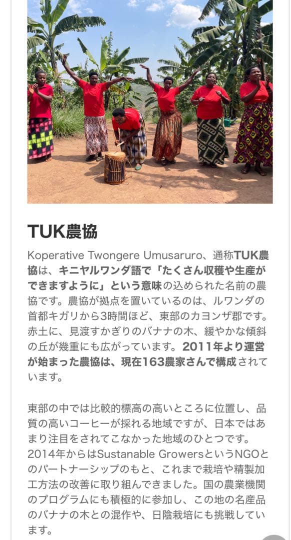 コーヒー生豆　約3. 6Kg ハンドピック済み