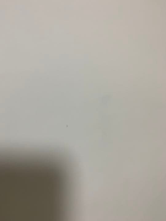 椎名林檎　発育ステータス　御起立ジャポン　非売品　ポスター