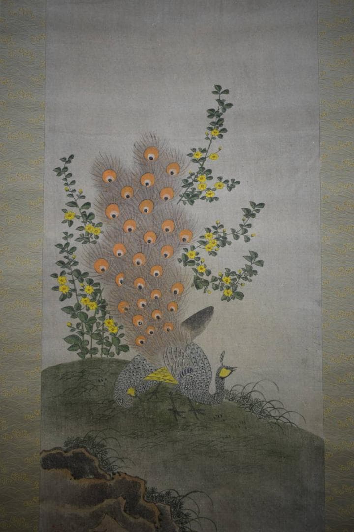 模写/狩野常信/孔雀図/布袋屋掛軸HE-935