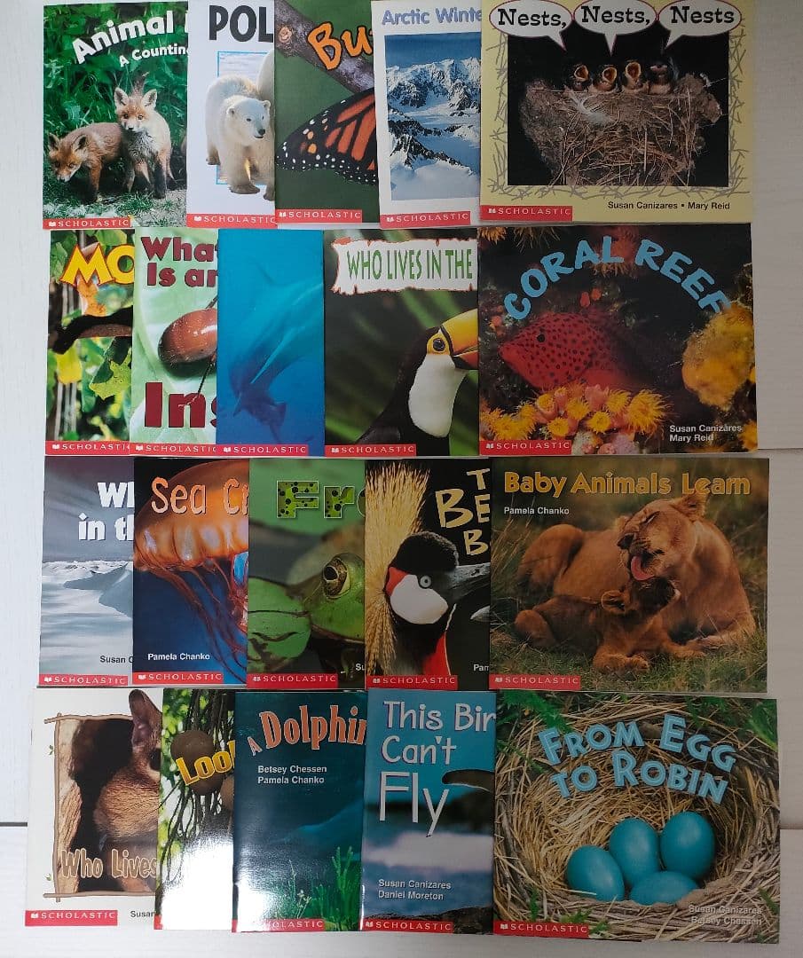 【絶版品】One Hundred English 英語絵本100冊　子供英語教材