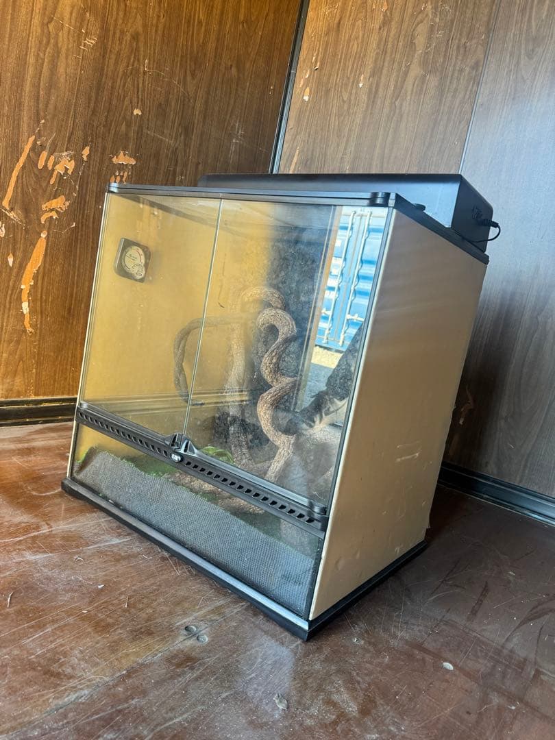 中型爬虫類飼育ケージ 前面ガラス扉